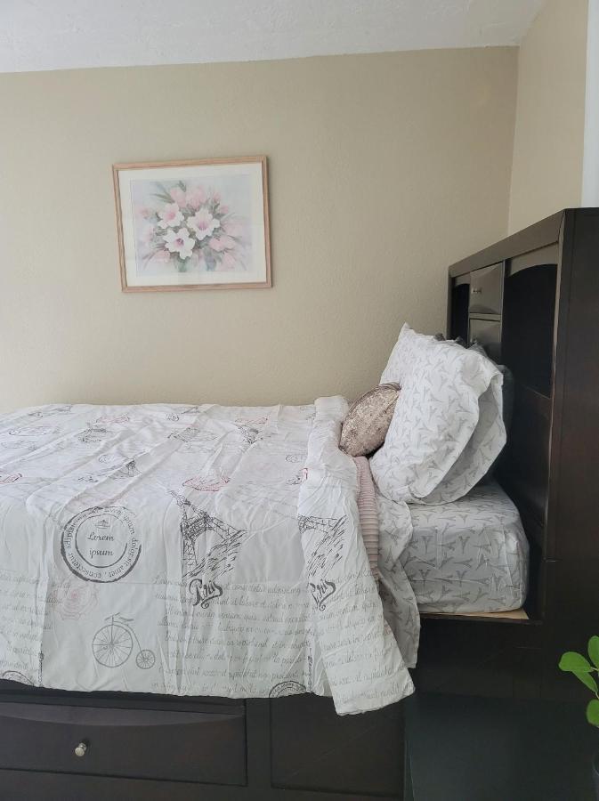 Entire Guesthouse 5 Mins To Siesta Key & Downtown Sarasota Extérieur photo